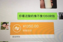 攀枝花如何避免债务纠纷？专业追讨公司教您应对之策